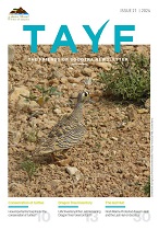 Tayf English 2024